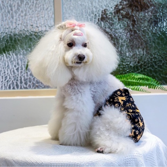 CuteBone Dog Diapers Male Puppy Belly Bands Washable 3 Bands Cute Print New Med. - Picture 1 of 12